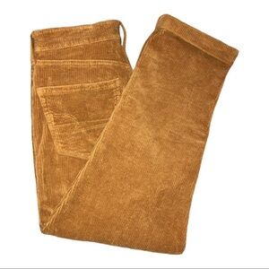 AMERICAN EAGLE Super Stretch Hi-Rise Jegging Corduroy Pants Sz 6 Short